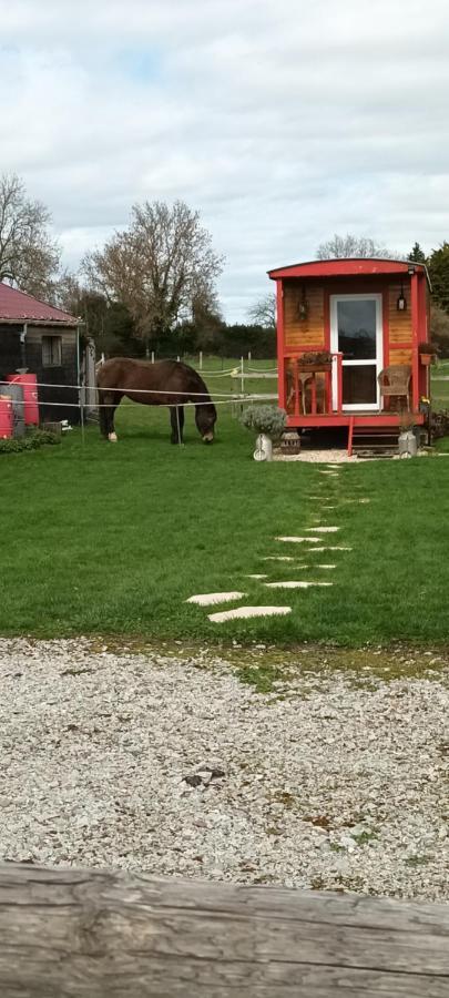 Malleville-sur-le-Bec Laroulottedubecヴィラ エクステリア 写真